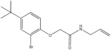 N-allyl-2-(2-bromo-4-tert-butylphenoxy)acetamide 结构式