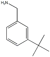 3-tert-butylbenzylamine
