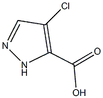 4-chloro-1H-pyrazole-5-carboxylic acid Struktur