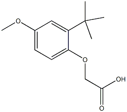 (2-tert-butyl-4-methoxyphenoxy)acetic acid Struktur