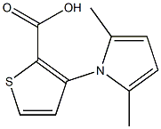 3-(2,5-dimethyl-1H-pyrrol-1-yl)thiophene-2-carboxylic acid Struktur