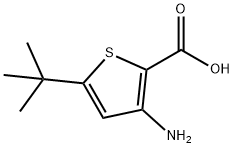 2-Thiophenecarboxylicacid,3-amino-5-(1,1-dimethylethyl)-(9CI) Structure