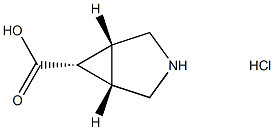 (1r,5s,6s)-3-azabicyclo[3.1.0]hexane-6-carboxylic acid hcl Structure