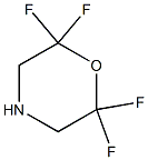 2,2,6,6-TETRAFLUOROMORPHOLINE 结构式