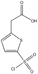 [5-(chlorosulfonyl)-2-thienyl]acetic acid Struktur