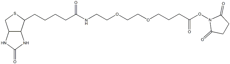 alpha-Biotin-omega-carboxy succinimidyl ester poly(ethylene glycol) (PEG-MW 10.000 Dalton) Struktur