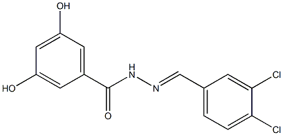 N-[(E)-(3,4-dichlorophenyl)methylideneamino]-3,5-dihydroxybenzamide Struktur