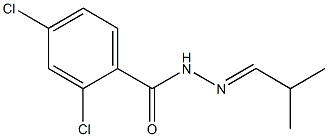2,4-dichloro-N-[(E)-2-methylpropylideneamino]benzamide,,结构式