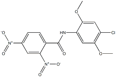  N-(4-chloro-2,5-dimethoxyphenyl)-2,4-dinitrobenzamide