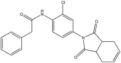  N-[2-chloro-4-(1,3-dioxo-3a,4,7,7a-tetrahydroisoindol-2-yl)phenyl]-2-phenylacetamide