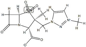 AAI-101 Struktur