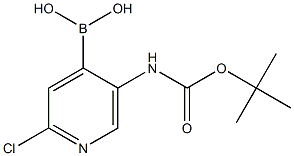 5-(tert-butoxycarbonylamino)-2-chloropyridin-4-ylboronic acid Struktur