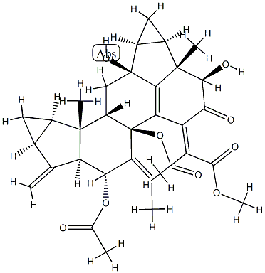 Chlorahololide C Structure