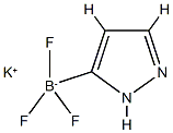 1H-吡唑-5-三氟硼酸钾 结构式