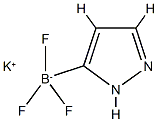 Potassium 1H-pyrazole-3-trifluoroborate