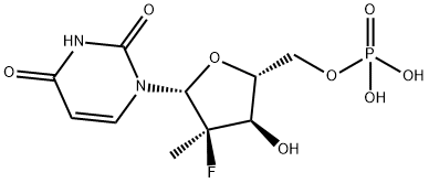 PSI 7411 Structure