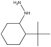 1-(2-tert-butylcyclohexyl)hydrazine Structure