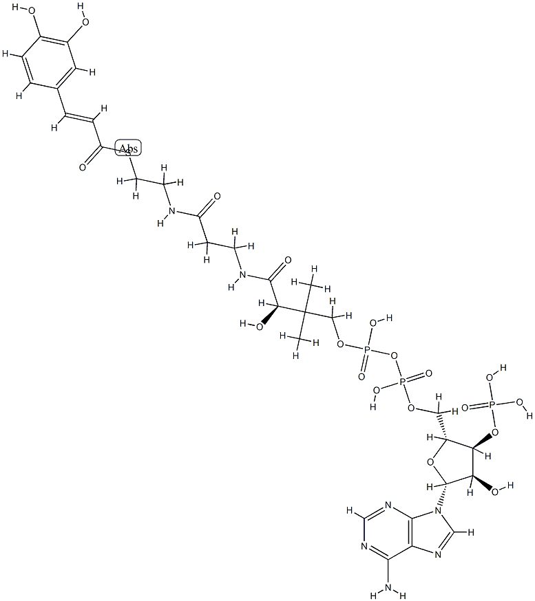 trans-caffeoyl-CoA Structure