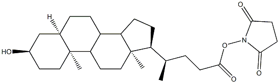 lithocholyl-N-hydroxysuccinimide Structure