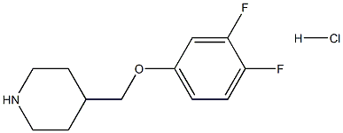 4-[(3,4-ジフルオロフェノキシ)メチル]ピペリジン塩酸塩 化学構造式