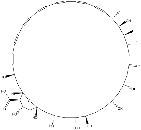 Amphoteronolide B Structure