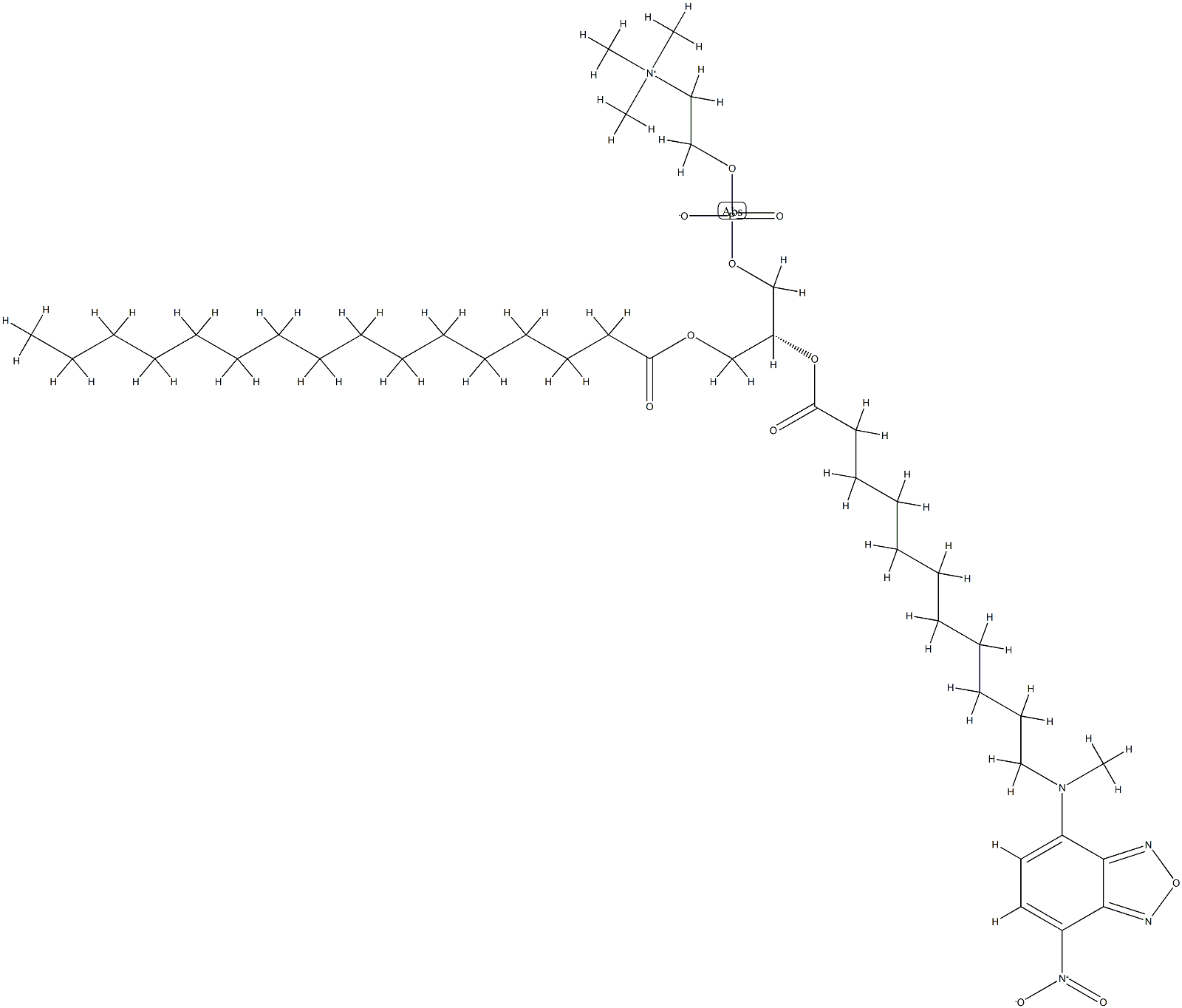 1-palmitoyl-2-(12-((7-nitro-2,1,3-benzoxadiazol-4-yl)amino)dodecanoyl)phosphatidylcholine Structure