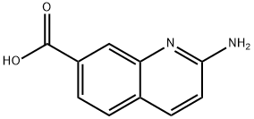 2-AMinoquinoline-7-carboxylic acid, 1092287-45-0, 结构式