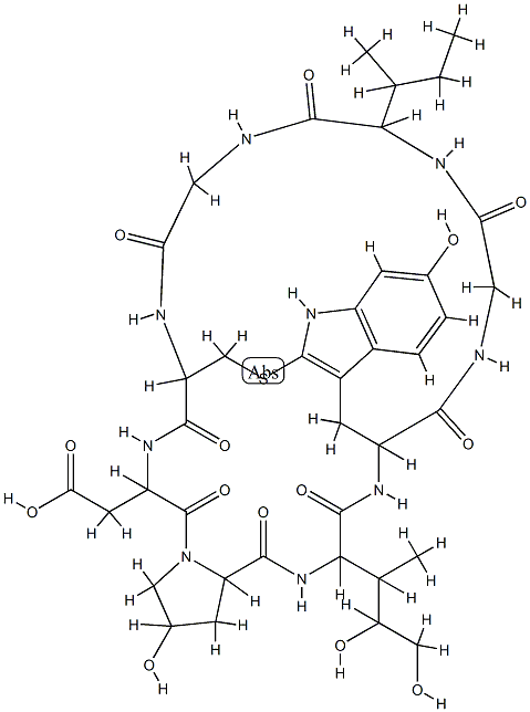 α-鹅膏蕈碱图片