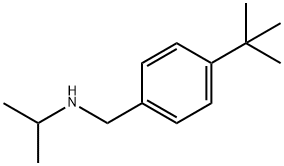 [(4-tert-butylphenyl)methyl](propan-2-yl)amine Struktur