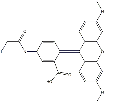 四甲基罗丹明-4-碘乙酰胺, 114458-99-0, 结构式