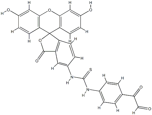 fluorescein isothiocyanate-phenylglyoxal Struktur