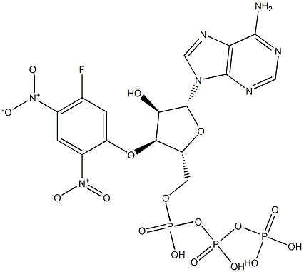 3'-O-(5-fluoro-2,4-dinitrophenyl)ATP ether 结构式