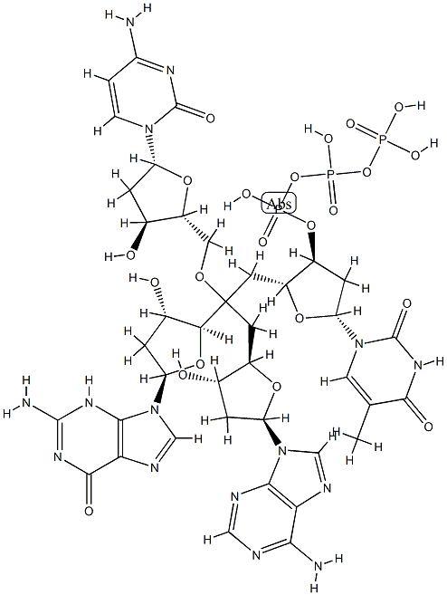 deoxy(thymidylic-adenylic-cytidylic-guanosine) Struktur