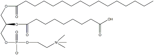 PAz-PC Structure