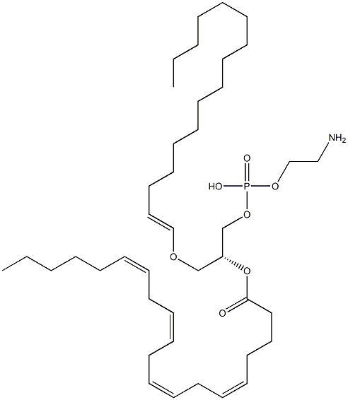 1-palmitoyl-2-arachidonoyl plasmalogen phosphatidylethanolamine Structure