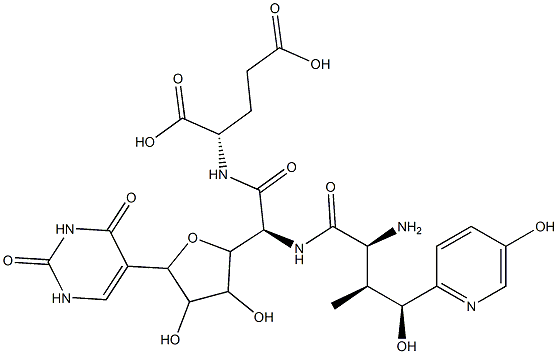 Nikkomycin pseudo-J Structure