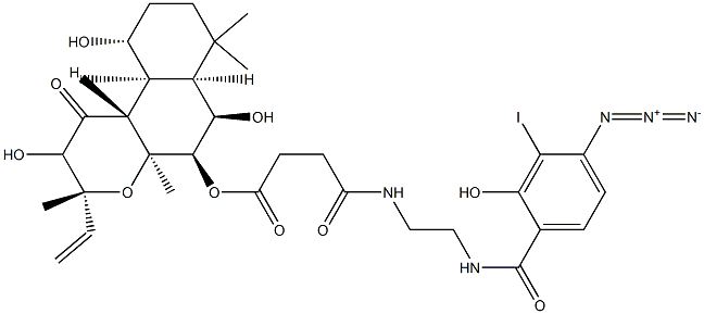 3'-iodo-4'-azidosalicylamidoethylamido-7-succinyldeacetylforskolin|