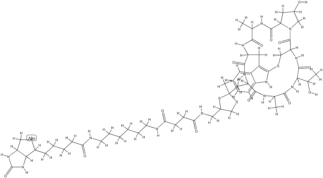  化学構造式