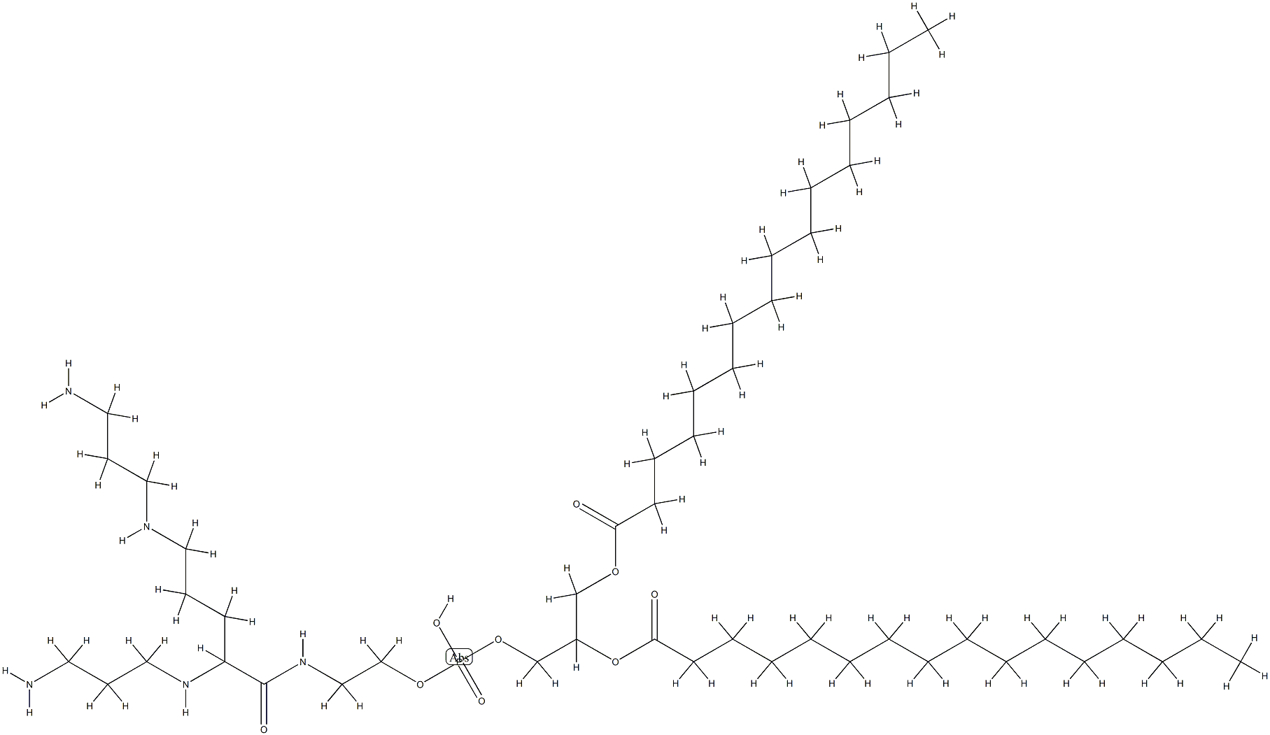 1,2-dipalmitoylphosphatidylethanolamidospermine Structure