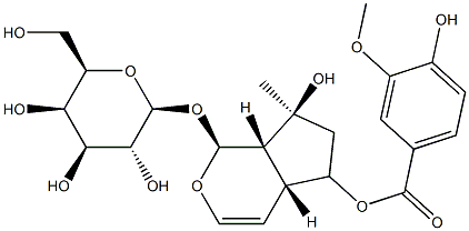 124168-04-3 6-O-香草酰基筋骨草醇