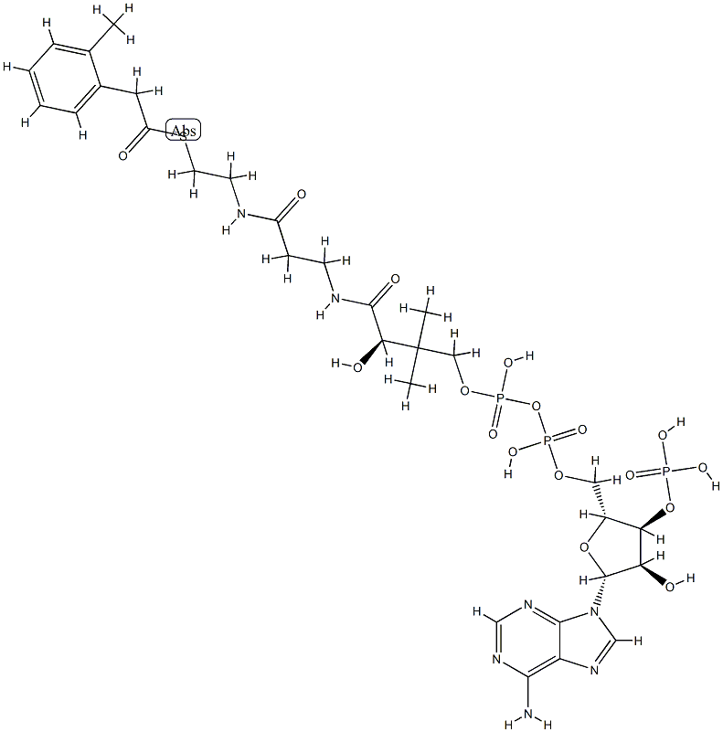 2-tolylacetyl-coenzyme A 化学構造式