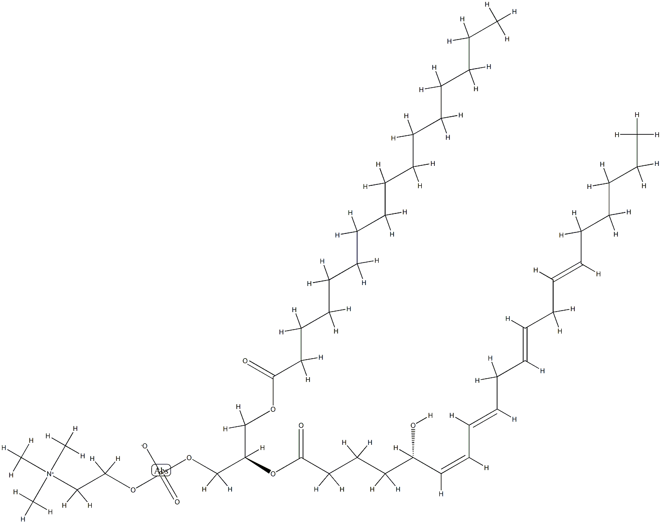 1-palmitoyl-2-(5-hydroxy-6,8,11,14-eicosatetraenoyl)-glycero-3-phosphocholine Structure
