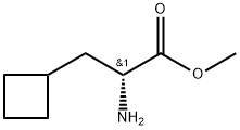 Cyclobutanepropanoic acid, α-amino-, methyl ester, (αR)- Struktur