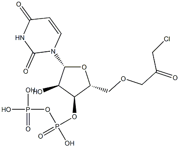 uridine 5'-diphosphate chloroacetol Struktur