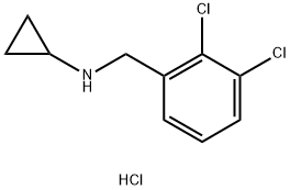 N-(2,3-Dichlorobenzyl)cyclopropanamine hydrochloride Struktur