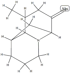 1,6-Methano-2H-quinolizin-7(6H)-one,hexahydro-9-methyl-,(1-alpha-,6-alpha-,9-bta-,9a-bta-)-(9CI) Structure