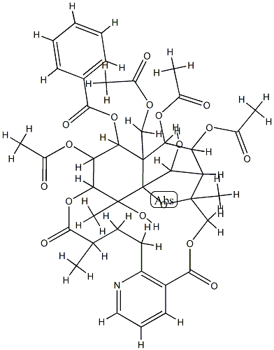  化学構造式