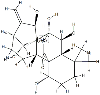 Kaur-16-en-20-oic acid,1,6,7,7,14,15-hexahydroxy-, 20,7-lactone, (1a,6b,7a,14R,15b)- (9CI) 化学構造式