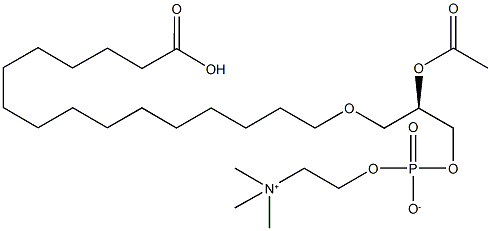1-O-(15-carboxypentadecyl)-2-O-acetylglycero-3-phosphorylcholine|1-O-(15-carboxypentadecyl)-2-O-acetylglycero-3-phosphorylcholine