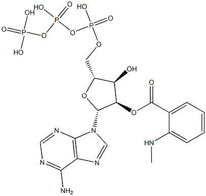 2′-O-(N-メチルアントラニロイル)-ATP 化学構造式